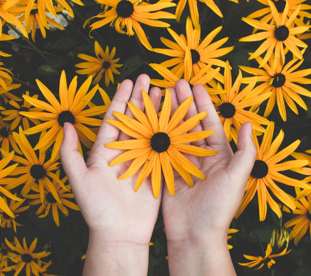 Yellow flower in the hands of a person looking from above.